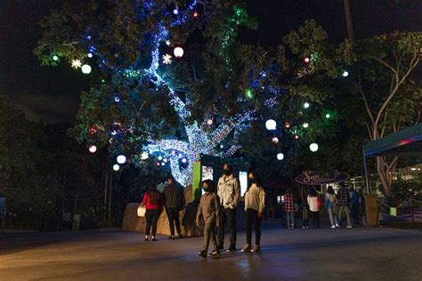 Best Zoo Lights Winners (2020) | USA TODAY 10Best