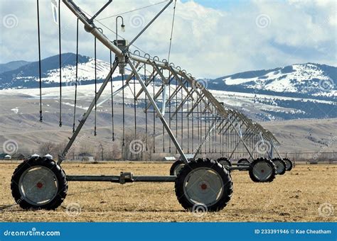 Automated Irrigation System In The Park Stock Image | CartoonDealer.com #159631849