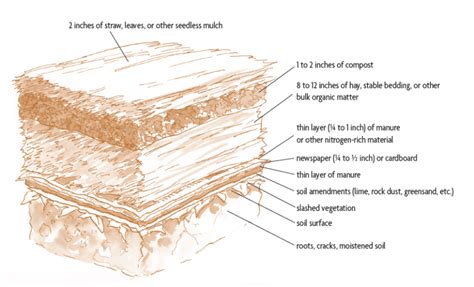 The Ultimate Guide to Sheet Mulching | Chelsea Green Publishing