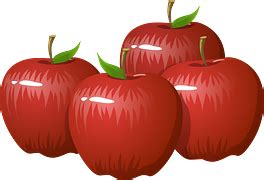 Apple Fruit Apples Green - Free vector graphic on Pixabay