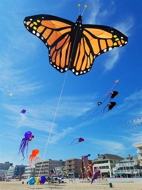 Giant Monarch Butterfly kite | Picture Pretty Kites