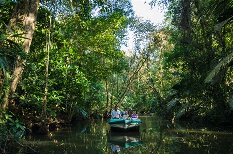 Cruising through the canals in Tortuguero National Park - Duff's Suitcase