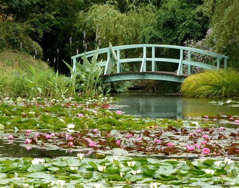 The water lily ponds