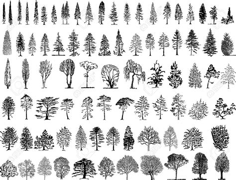 Pin on Dessins De Tatouage | Tree sketches, Tree silhouette, Tree tattoo