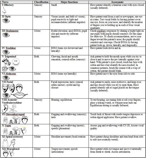 cranial nerve assessment | Nursing assessment, Student resources ...