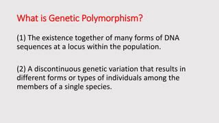 Polymorphism affecting drug metabolism | PPT