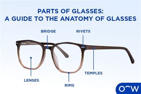 Parts of Glasses: Guide Anatomy of Glasses