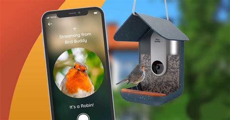 Bird Buddy - Bird Feeder Camera - Tech I Want