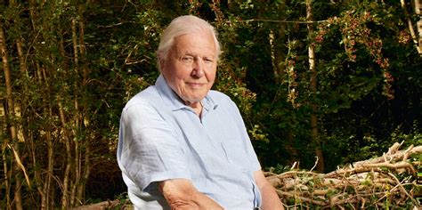 Sir David Attenborough steps aside as narrator for new Planet Earth episode