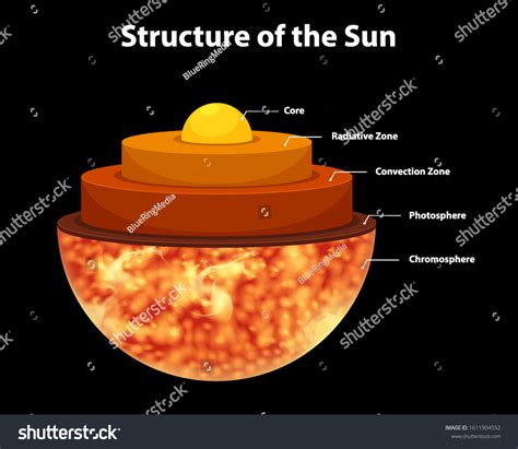 Diagram Showing Structure Sun Illustration Stock Vector (Royalty Free ...