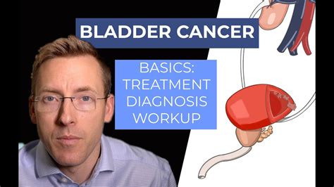 Bladder Cancer: Basics of Diagnosis, Workup, Pathology, and Treatment ...