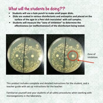 Effect of Antiseptics and Disinfectants on Bacterial Growth Lab | TPT