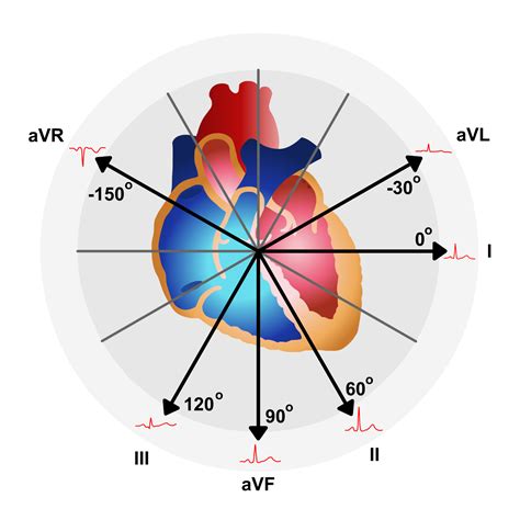 Trigonometry of the ECG - The Physiological Society