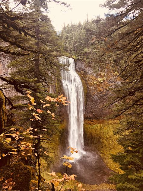 Salt Creek Falls in the Fall (Oregon) [OC] [3024x4032] https://ift.tt ...