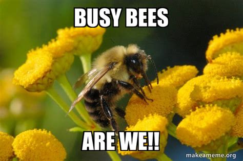 BUSY BEES ARE WE!! - Good Guy Bee Meme Generator