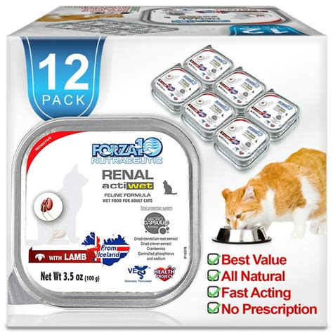 Forza10 Wet Cat Food, Kidney Renal Support ACTIWET, with Lamb 3.5oz, Adult canned food, 12 Pack ...