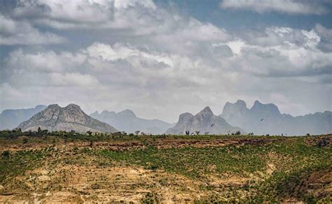 Tigray: One hundred days of war | African Arguments