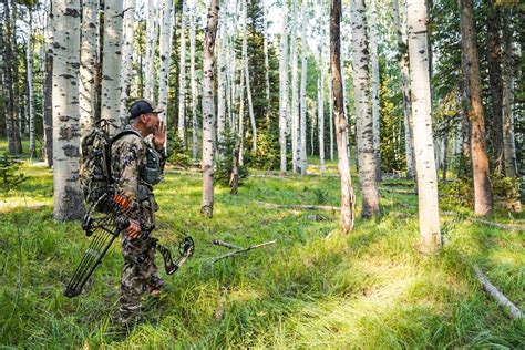 3 Tips for Better Elk Hunting Success | BlackOvis MTN Journal