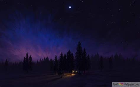 Night Forest Art 4K wallpaper download