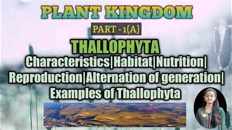 Thallophyta|Characteristics|Habitat|Nutrition|Reproduction|Alternation ...