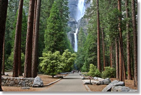 National Forest: Yosemite National Forest Camping