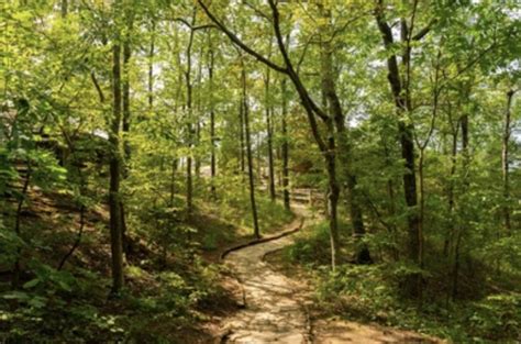 Best Hiking Trails in the Shawnee National Forest |Southern Illinois