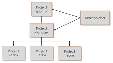 The Generic Project Organization Chart