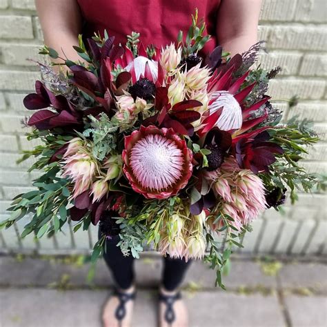 King Protea Bouquet | Modern wedding bouquets, Floral, Wedding