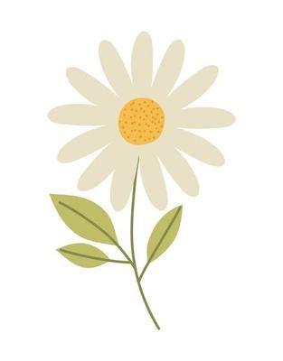 Daisy Flower Vector Art, Icons, and Graphics for Free Download