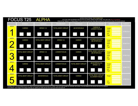 t25 alpha cardio > OFF-69%