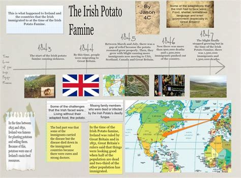 Image result for potato famine timeline poster | Potato famine, Irish ...