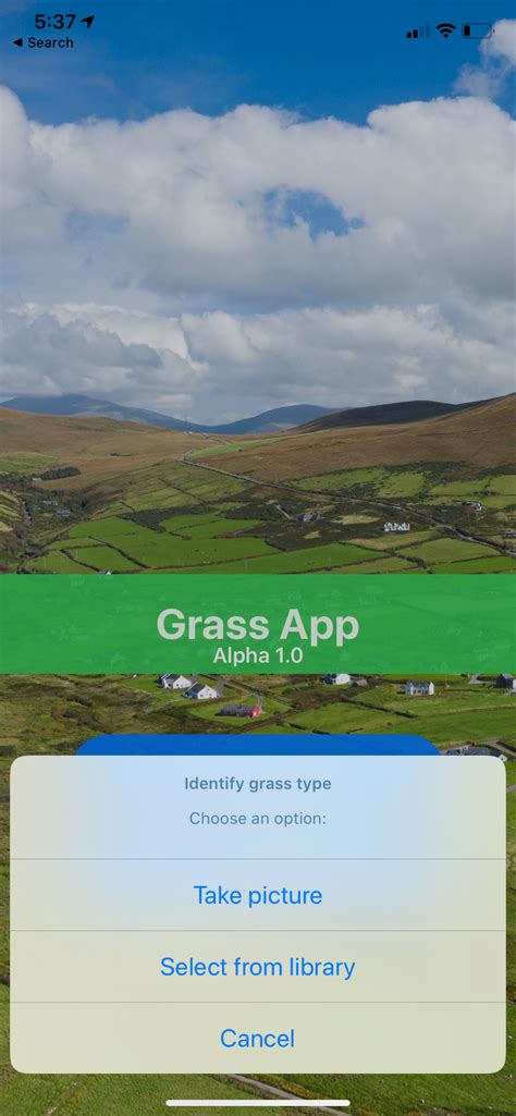 Grass App — Colson Rice