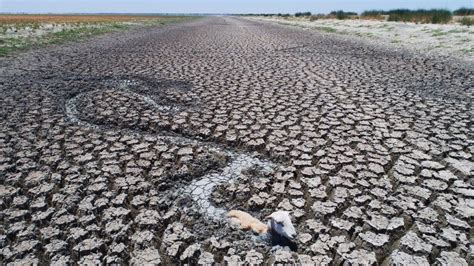 Australia drought: The 'unlikely' group calling for climate action ...