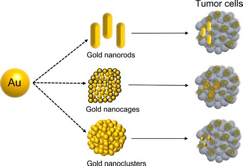 Frontiers | The Applications of Gold Nanoparticles in the Diagnosis and ...