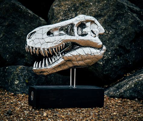 T-Rex Skull - Michael Turner Art and Sculptures for your home