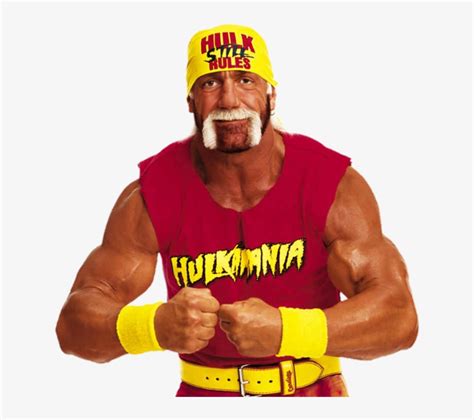 Hulk Hogan Face Png - Papa Johns N Word Memes Transparent PNG - 648x663 - Free Download on NicePNG