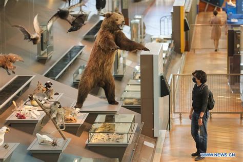 Museum of Natural Sciences in Brussels opens one-way route to public amid COVID-19 pandemic ...