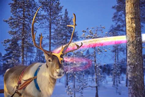 Make this Christmas one like no other with a trip to Santa’s Lapland ...