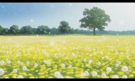 Yellow Field - Other & Anime Background Wallpapers on Desktop Nexus ...