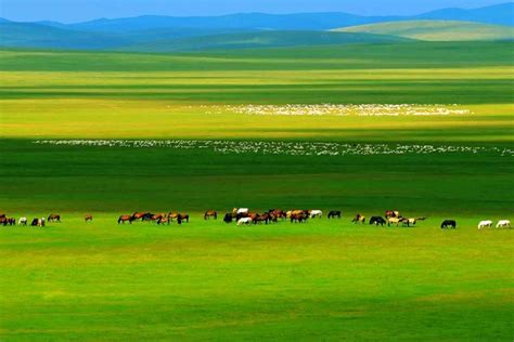 Inner Mongolia Grasslands: Top 10 Prairies in Inner Mongolia