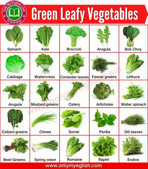 Green Leafy Vegetables Name in English with Pictures » OnlyMyEnglish | Green leafy vegetable ...