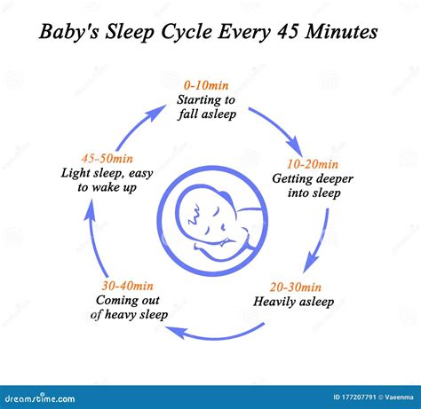 Sleep Cycle Stages Royalty-Free Stock Image | CartoonDealer.com #102727552