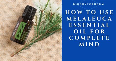 How To Use Melaleuca Essential Oil For Complete Mind | Biophytopharm