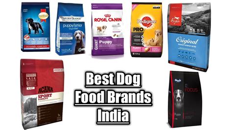 What Are The Top Brands Of Dog Food at Burton Dodson blog