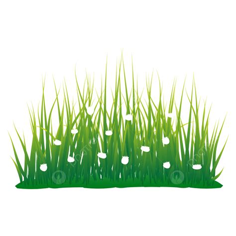 Gambar Elemen Rumput Hijau Dengan Bunga Putih, Hijau, Rumput, Bunga PNG dan Vektor dengan ...