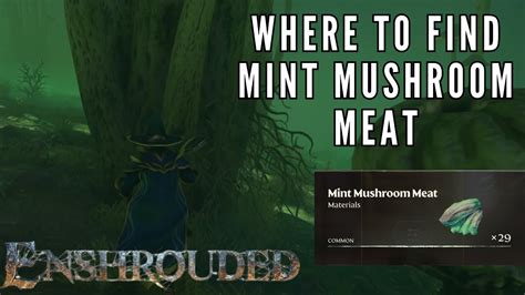 How To Get Mint Mushroom Meat Enshrouded | Mint Mushroom Meat Farm ...