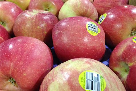 Organic Fuji Apples | Produce Geek