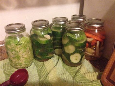 Easy Fermented Food Recipes