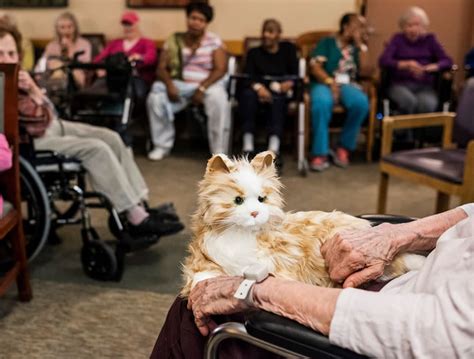 How to Support Someone with Dementia | Introducing the Robotic Cat