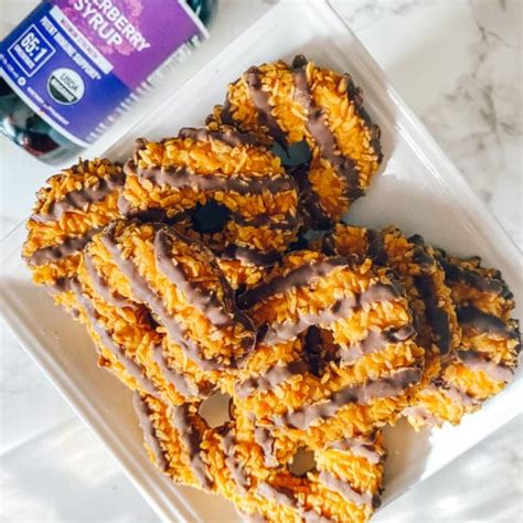 Healthy Girl Scout Samoas Cookies (No-Bake & Vegan) (2025)